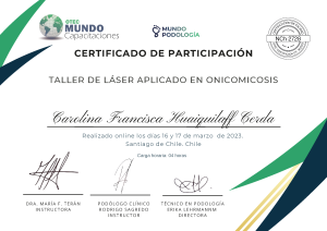 Carolina Francisca Huaiquilaff Cerda