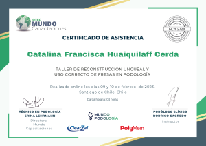 Catalina Francisca Huaiquilaff Cerda