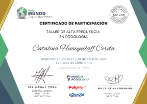 Catalina Huaiquilaff Cerda