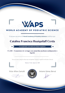 academia waps